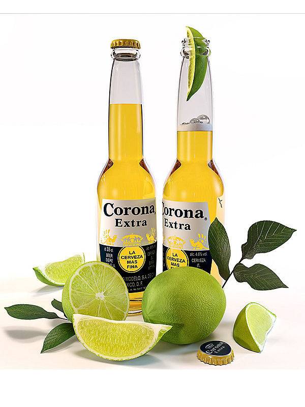 CORONA EXTRA CERVEZZA 4,5% 0,355 l 313